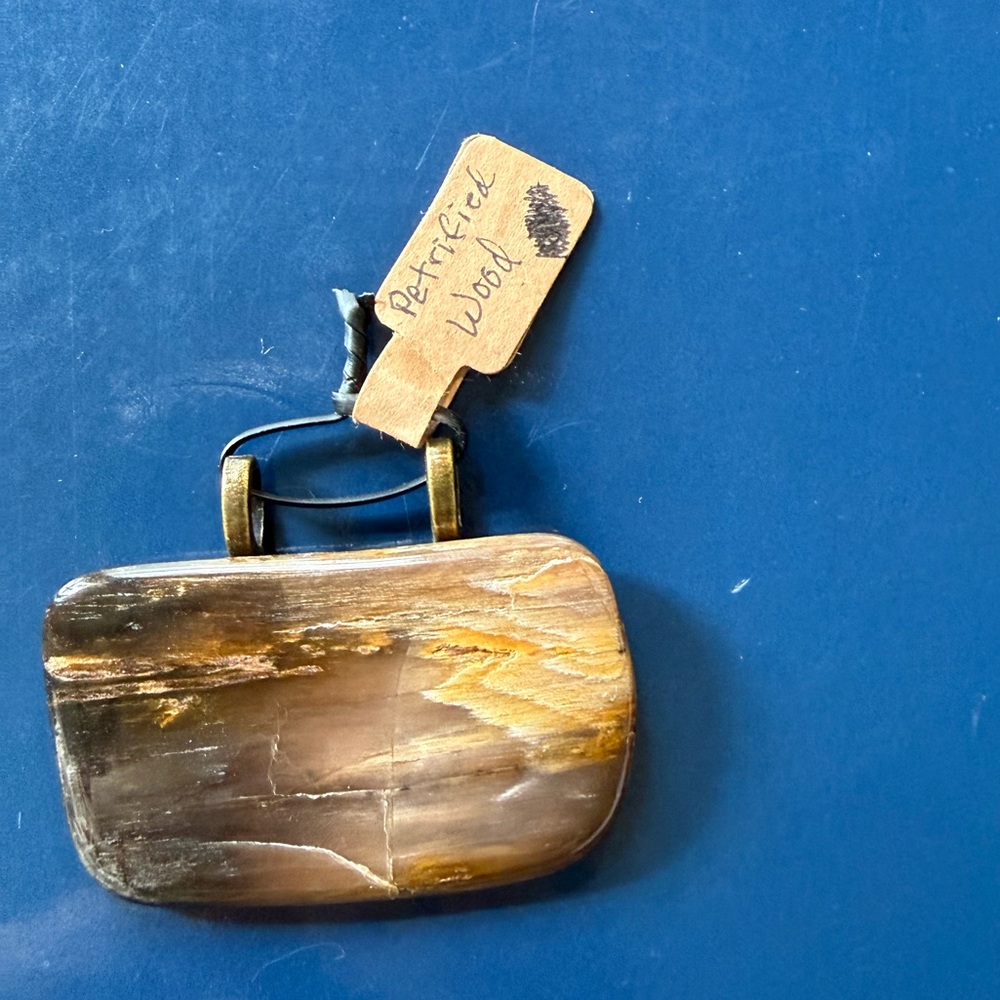 Petrified Wood Pendant